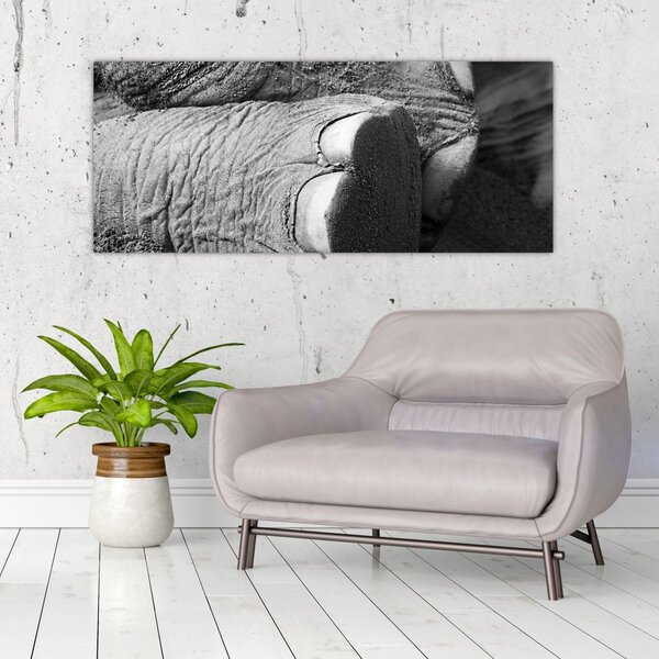 Slika - Slonova noga (120x50 cm)