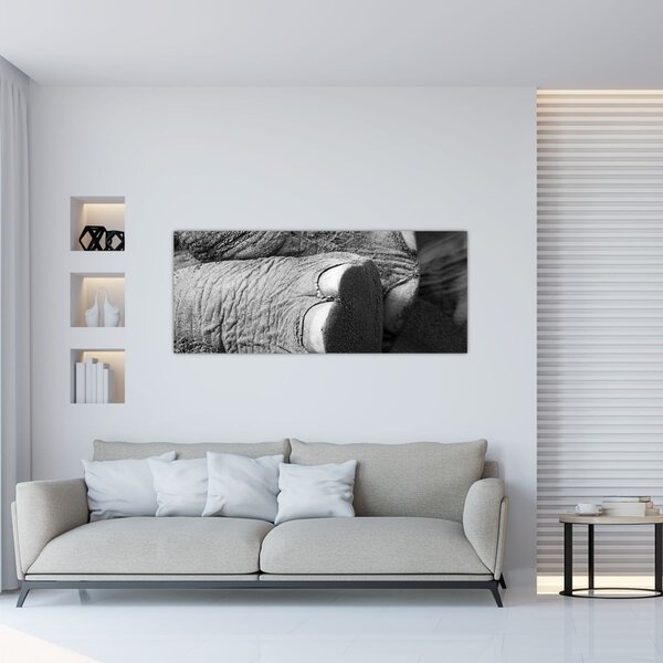Slika - Slonova noga (120x50 cm)