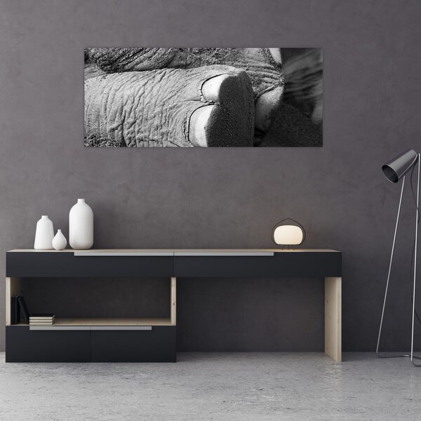 Slika - Slonova noga (120x50 cm)