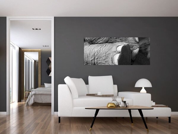 Slika - Slonova noga (120x50 cm)