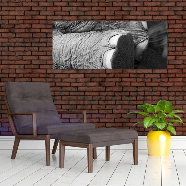 Slika - Slonova noga (120x50 cm)