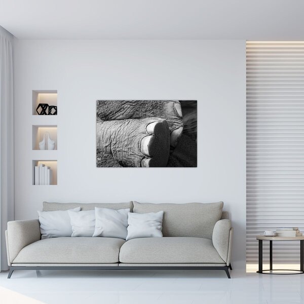Slika - Slonova noga (90x60 cm)