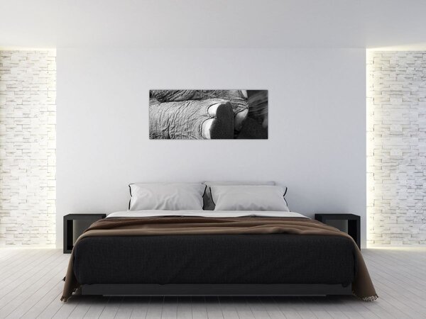 Slika - Slonova noga (120x50 cm)