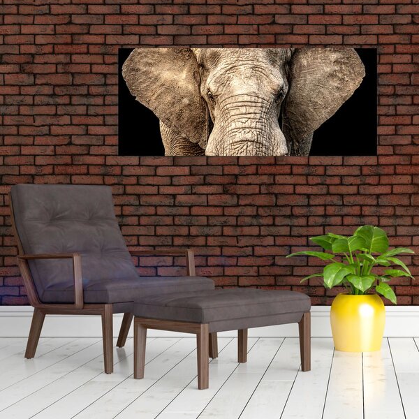 Slika - afrički slon (120x50 cm)