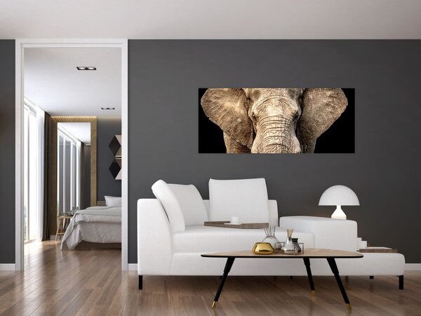 Slika - afrički slon (120x50 cm)