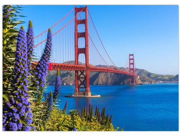 Slika - Most Golden Gate, San Francisco (70x50 cm)