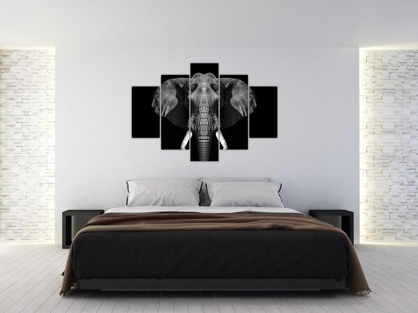 Slika - Slon na crnoj pozadini (150x105 cm)