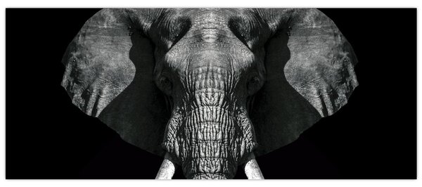 Slika - Slon na crnoj pozadini (120x50 cm)