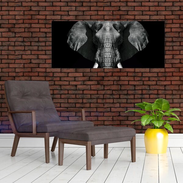 Slika - Slon na crnoj pozadini (120x50 cm)