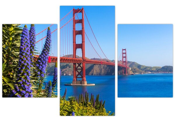 Slika - Most Golden Gate, San Francisco (90x60 cm)