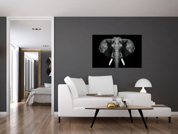 Slika - Slon na crnoj pozadini (90x60 cm)
