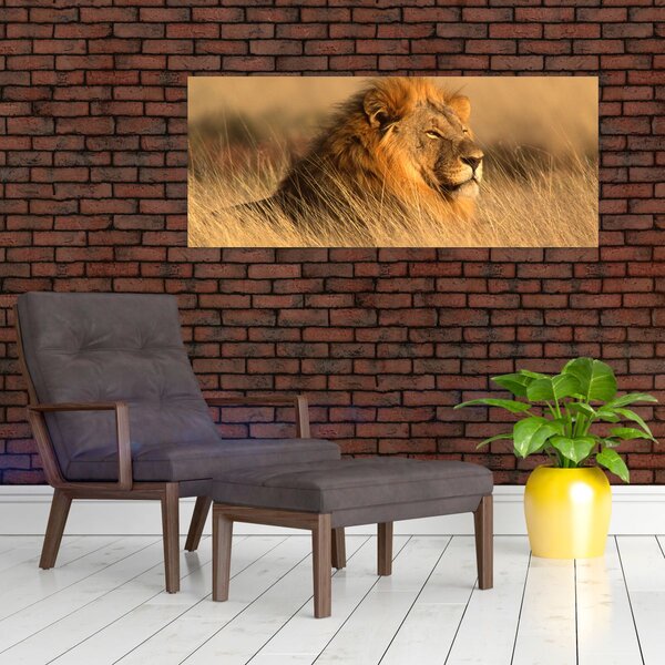 Slika - Nacionalni park Etosha (120x50 cm)