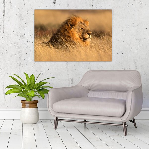 Slika - Nacionalni park Etosha (90x60 cm)