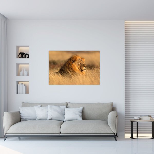 Slika - Nacionalni park Etosha (90x60 cm)