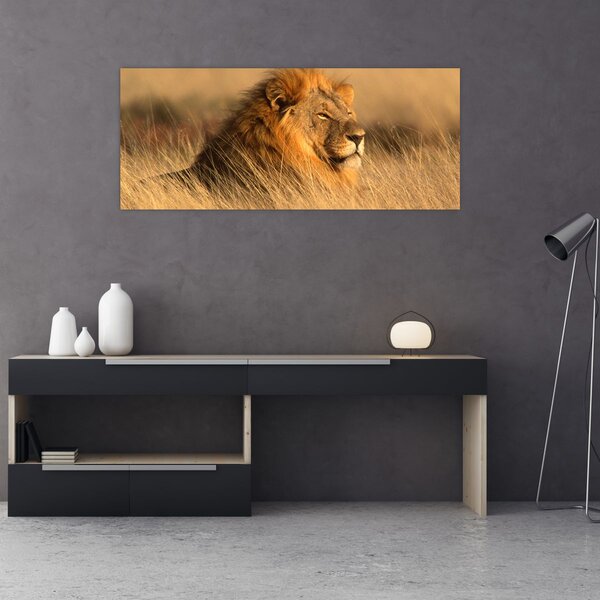 Slika - Nacionalni park Etosha (120x50 cm)