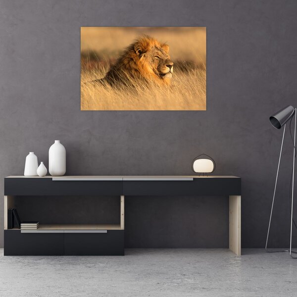 Slika - Nacionalni park Etosha (90x60 cm)