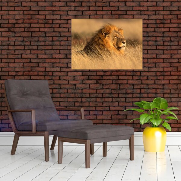 Slika - Nacionalni park Etosha (70x50 cm)