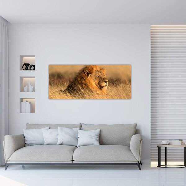 Slika - Nacionalni park Etosha (120x50 cm)