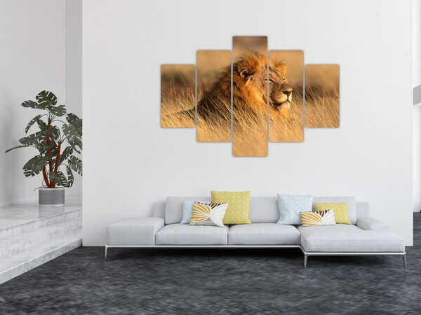 Slika - Nacionalni park Etosha (150x105 cm)