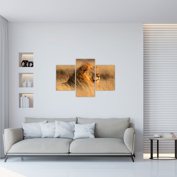 Slika - Nacionalni park Etosha (90x60 cm)