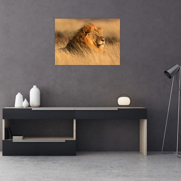 Slika - Nacionalni park Etosha (70x50 cm)