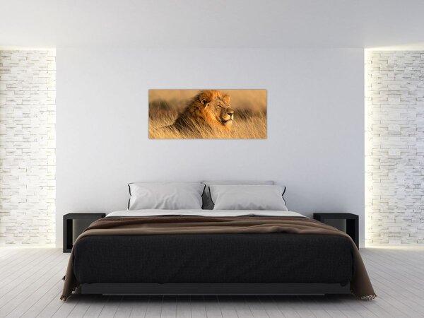 Slika - Nacionalni park Etosha (120x50 cm)