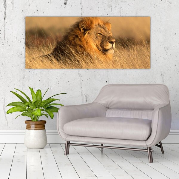 Slika - Nacionalni park Etosha (120x50 cm)