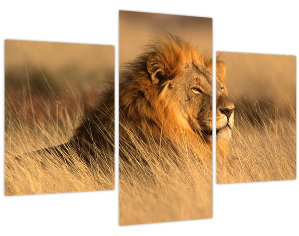 Slika - Nacionalni park Etosha (90x60 cm)