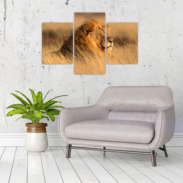 Slika - Nacionalni park Etosha (90x60 cm)