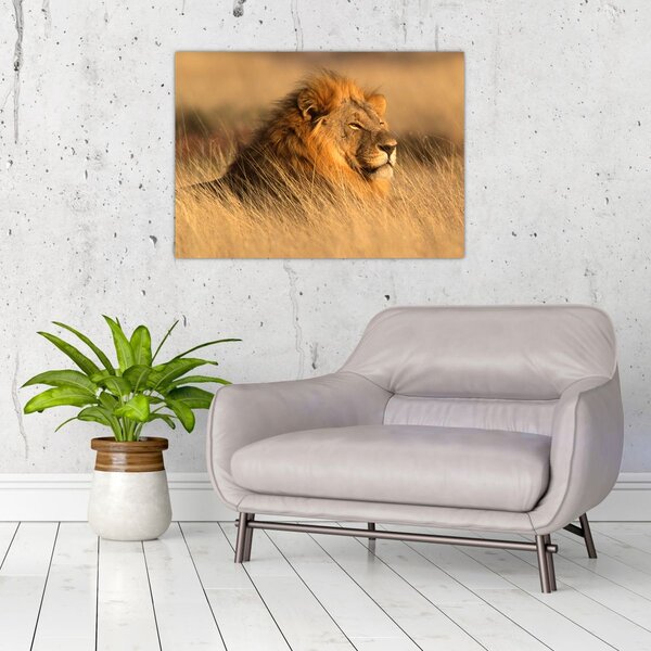 Slika - Nacionalni park Etosha (70x50 cm)