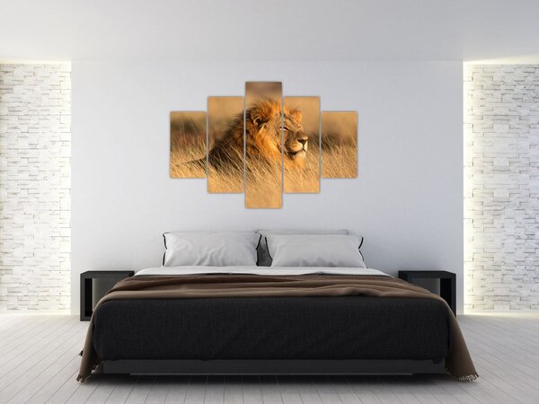 Slika - Nacionalni park Etosha (150x105 cm)