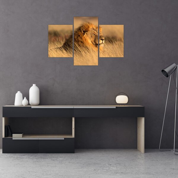 Slika - Nacionalni park Etosha (90x60 cm)