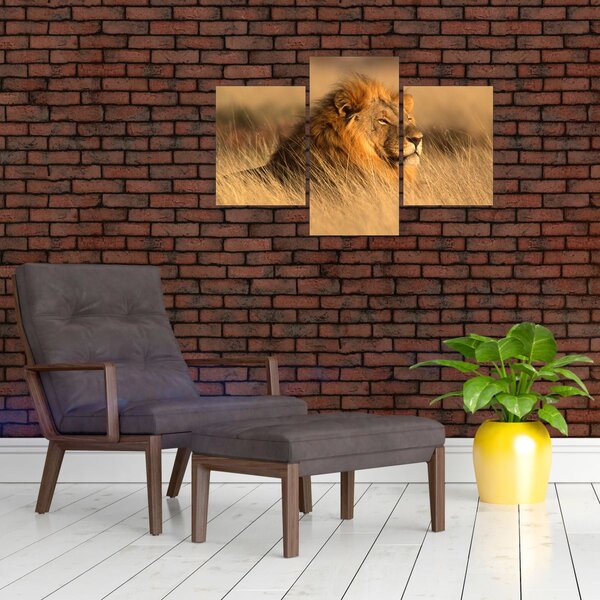 Slika - Nacionalni park Etosha (90x60 cm)