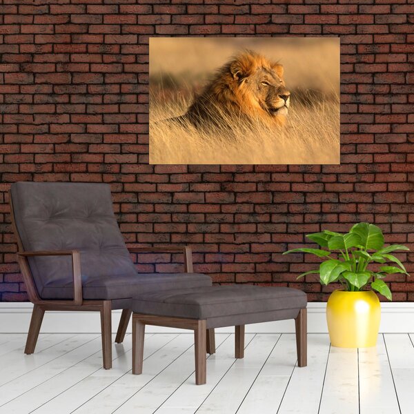 Slika - Nacionalni park Etosha (90x60 cm)