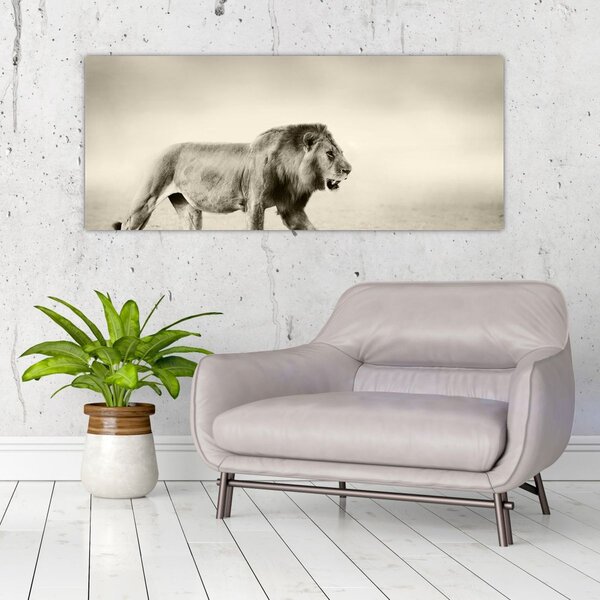 Slika - Gladni lav (120x50 cm)