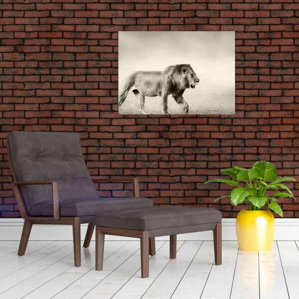 Slika - Gladni lav (70x50 cm)