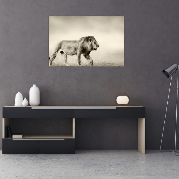 Slika - Gladni lav (90x60 cm)