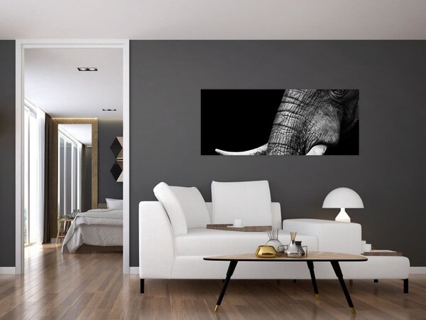 Slika - Slonove kljove (120x50 cm)
