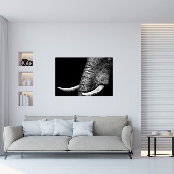 Slika - Slonove kljove (90x60 cm)