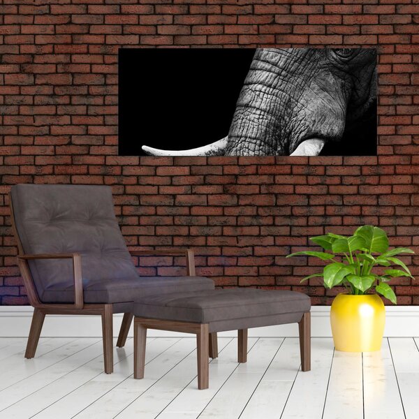 Slika - Slonove kljove (120x50 cm)