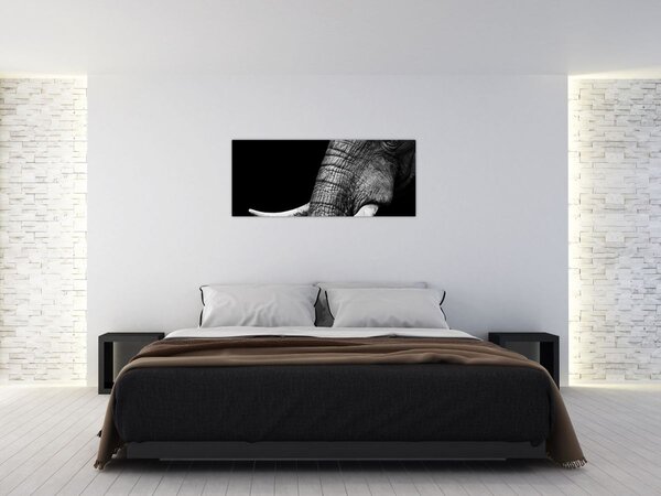 Slika - Slonove kljove (120x50 cm)