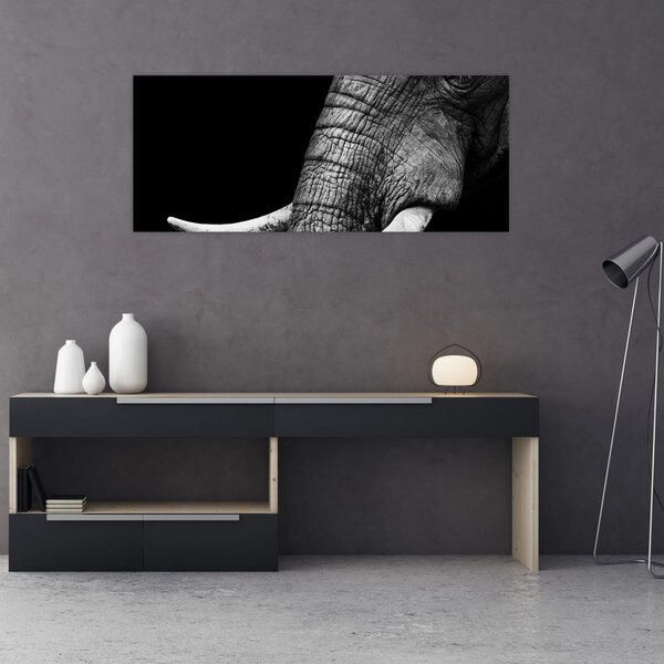 Slika - Slonove kljove (120x50 cm)