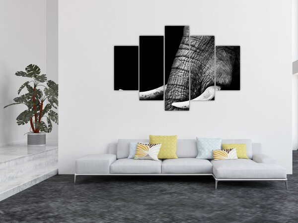 Slika - Slonove kljove (150x105 cm)