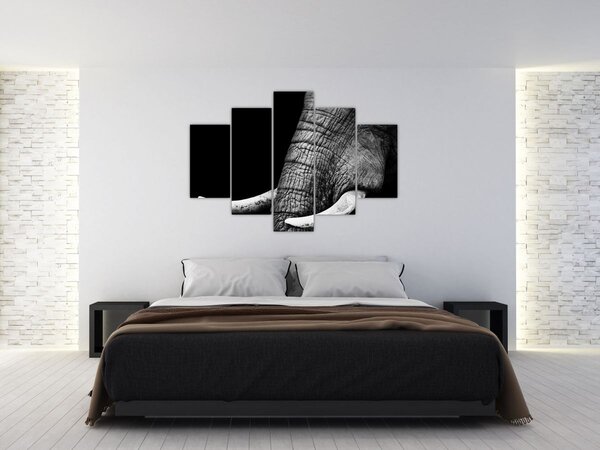 Slika - Slonove kljove (150x105 cm)