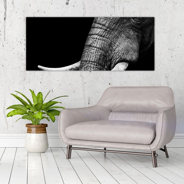 Slika - Slonove kljove (120x50 cm)