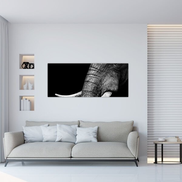 Slika - Slonove kljove (120x50 cm)