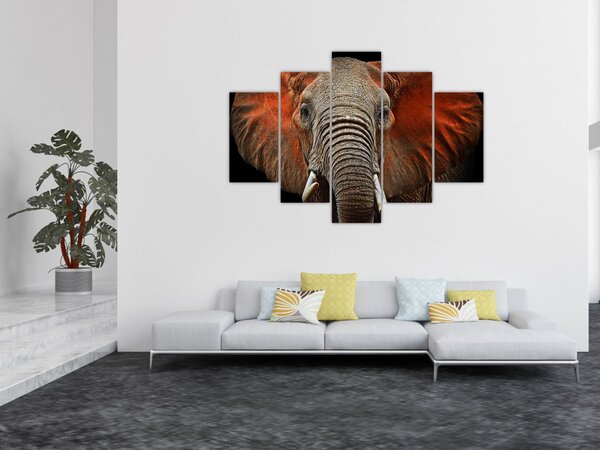 Slika - Slonovi s Tsavom (150x105 cm)