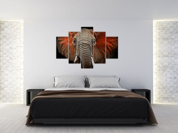 Slika - Slonovi s Tsavom (150x105 cm)