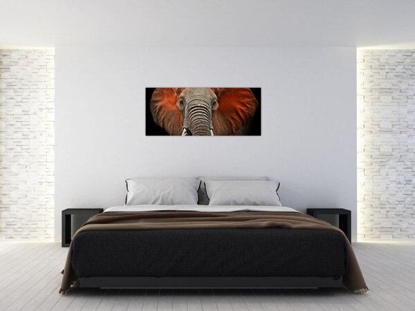 Slika - Slonovi s Tsavom (120x50 cm)
