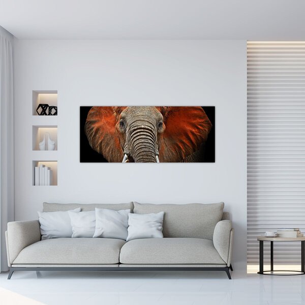 Slika - Slonovi s Tsavom (120x50 cm)
